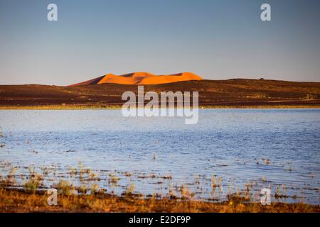 Marokko, Tafilalet Region, Merzouga, Erg Chebbi Wüste, Dünen und See Stockfoto