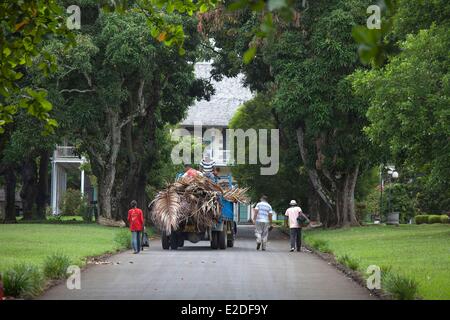 Mauritius Pamplemousses Distrikt Pamplemousses Garten, Château de Mon Plaisir, Haus im Kolonialstil im Herzen von 25 Hektar Pflanzen, Garten-Arbeiter Stockfoto