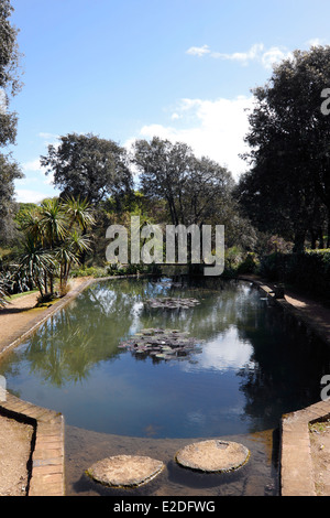 ABBOTSBURY GARDENS DORSET UK. ZIER-GARTEN-TEICH Stockfoto