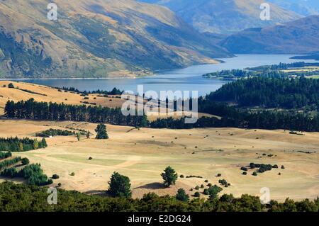 Neuseeland Südinsel Otago Region Wanaka vor den Toren des Mount Aspiring National Park Blick auf Lake Wanaka aus Eisen zu montieren Stockfoto