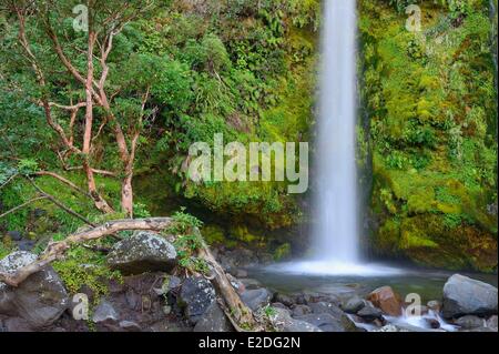 Neuseeland Nord Insel Egmont National Park liegt der Mount Taranaki Dawson Stockfoto