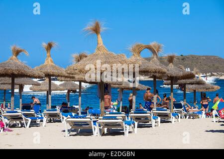 Spanien, Balearen, Mallorca, Magaluf, Palme am Strand Stockfoto