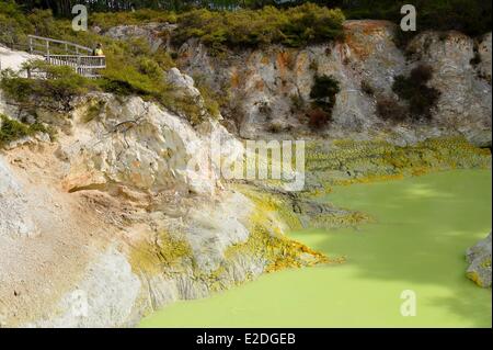 Neuseeland Nord Insel Rotorua District Taupo Volcanic Zone der geothermischen Park von Wai-O-Tapu Teufel Bad Stockfoto