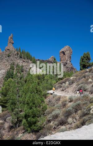 Spanien, Kanarische Inseln, Gran Canaria, Roque Nublo Stockfoto