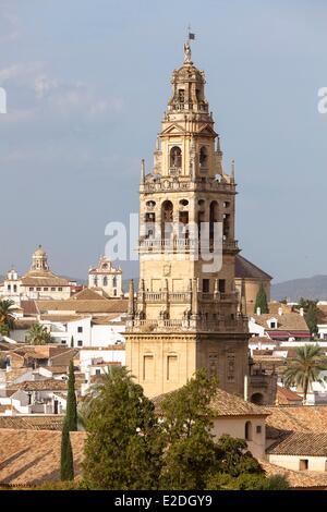 Spanien, Andalusien, Cordoba, Altstadt Weltkulturerbe der UNESCO, die Kathedrale von Cordoba, Mezquita, eine ehemalige Moschee Stockfoto