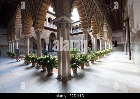 Spanien, Andalusien, Sevilla, Real Alcazar aufgeführt als Weltkulturerbe der UNESCO, Patio de Las Huasaco Stockfoto