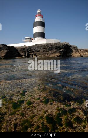 Irland Wexford County Wexford Hook Head Leuchtturm Stockfoto