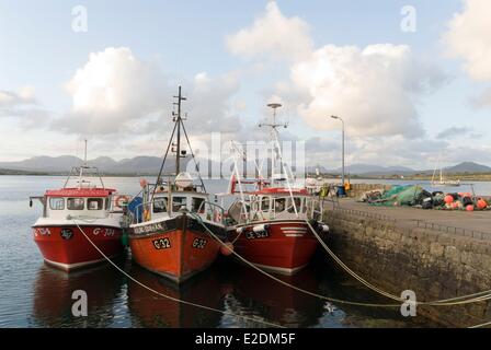 Irland Galway County Roundstone Connemara Angelboote/Fischerboote im Hafen die Twelve Bens Berge im Hintergrund Stockfoto