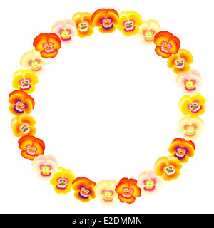 Kreisförmige orange gelben Stiefmütterchen Rahmen. Stockfoto