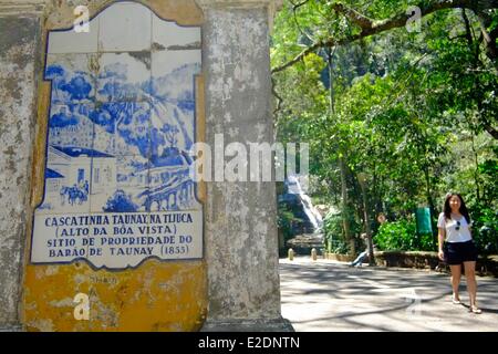 Brasilien Rio de Janeiro Parque Nacional Tijuca Spaziergang im Wald Stockfoto