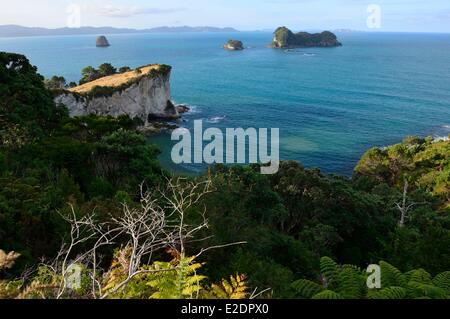 Neuseeland Nord Insel Coromandel Halbinsel der Küste in der Nähe von Hahei Stockfoto