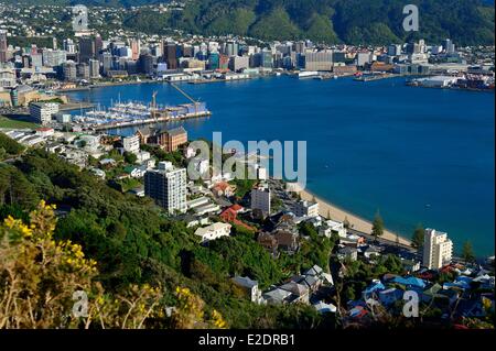 Neuseeland Nord Insel Wellington Oriental Bay angesehen von der Spitze des Mount Victoria (196m) Stockfoto