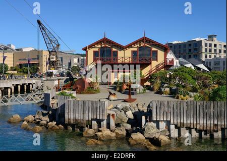 Neuseeland Nord Insel Wellington Frank Kitts Park im Stadtteil Waterfront Stockfoto