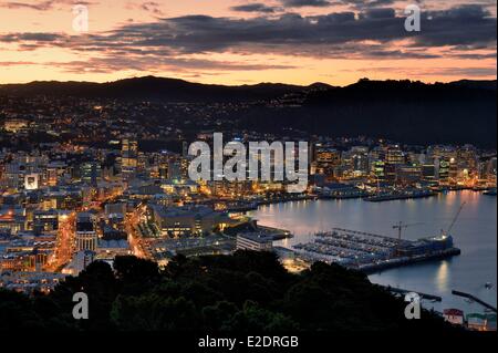 Neuseeland Nord Insel Wellington Oriental Bay angesehen von der Spitze des Mount Victoria (196m) Stockfoto