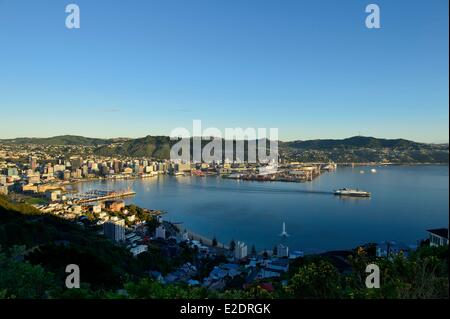 Neuseeland Nord Insel Wellington Oriental Bay angesehen von der Spitze des Mount Victoria (196m) Stockfoto