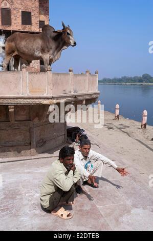 Indien Uttar Pradesh Zustand Mathura Flusses Yamuna Stockfoto