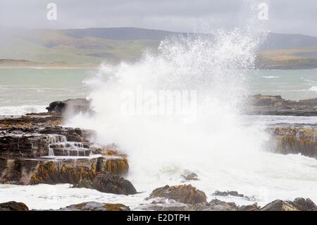 Neuseeland Südinsel der Catlins aus der ausgetretenen Pfade entlang der Südküste Curio Bay an einem stürmischen Tag Stockfoto