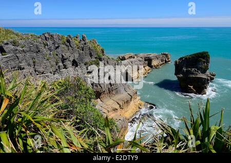 Neuseeland Südinsel Westküste Punakaiki am Rande des Paparoa National Park die Pancake Rocks sind eine stark erodierte Stockfoto