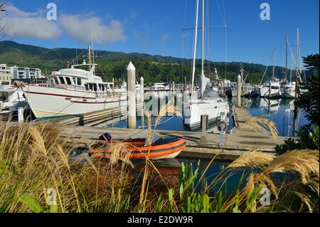 Neuseeland, Südinsel, Marlborough Region, die Stadt Picton Nord Osten der Insel, am Ende des Queen Charlotte Drive, in der geschützten Queen Charlotte Sound (Teil der Marlborough Sounds) Stockfoto