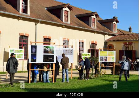 Frankreich Haute Marne (52) Montier En Der Nationalgestüts (gegründet 1806 und angeblich zu einem großen Zentrum Ardennen Stockfoto