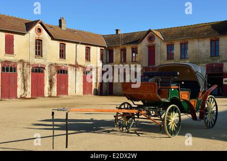 Frankreich Haute Marne (52) Montier En Der die National Stud, gegründet im Jahre 1806 hat den Ruf, einem wichtigen Zentrum der Ardennen Pferd sein Stockfoto