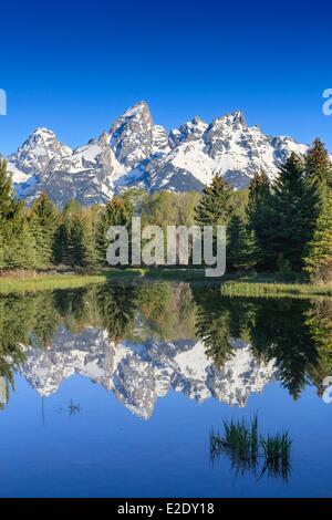 Vereinigten Staaten Wyoming Grand Teton National Park am frühen Morgen Blick auf die Teton Range und Snake River vom Schwabacher Stockfoto