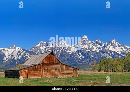 Vereinigten Staaten Wyoming Grand Teton National Park historische Scheune auf Mormone Zeile und die Teton Range mit Grand Teton (4.199 Stockfoto