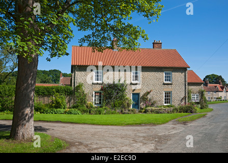 Häuser Haus in Hovingham Dorf im Frühling North Yorkshire England GB Vereinigtes Königreich GB Großbritannien Stockfoto