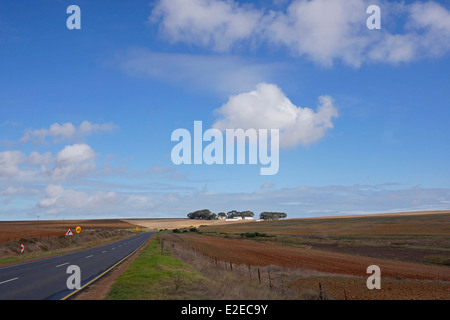 Ein Bauernhof in der Region Swartland von der Provinz Westkap in Südafrika. Stockfoto