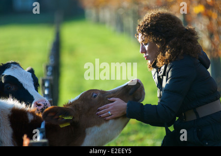 Frau streichelte eine Kuh, die ihr für einige Aufmerksamkeit kommt Stockfoto