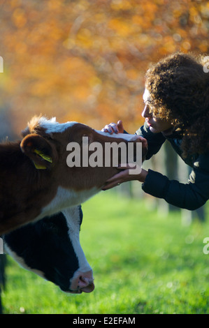 Frau streichelte eine Kuh, die ihr für einige Aufmerksamkeit kommt Stockfoto