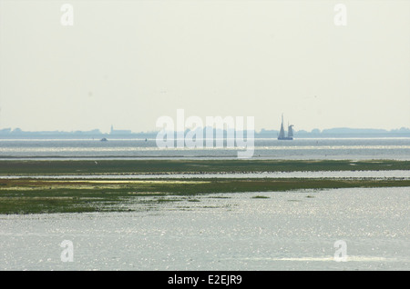 Niedrigwasser im Wattenmeer mit Vögel füttern gesehen von Schiermonnikoog mit der niederländischen Küste im Hintergrund, Niederlande Stockfoto