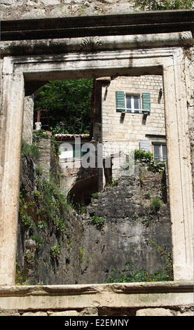 OLYMPUS Digitalkamera-Ansicht Stockfoto