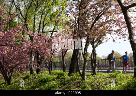 Läufer auf dem Stausee, Jogging-Pfad, Central Park, New York Stockfoto