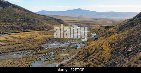 Peru, Arequipa Provinz, Caylloma, Puente Apurimac, Lagunen des Apurimac Flusses Amazonas bilden Stockfoto