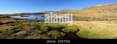 Peru, Arequipa Provinz, Chivay, Mismi Vulkan (5597 m), Quelle des Amazonas-Flusses, Gletscherlagune Stockfoto