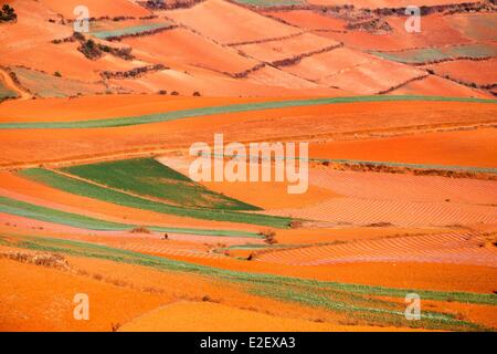 China, Provinz Yunnan, Guoditang, schöner Garten, Terrasse-Anbau Stockfoto