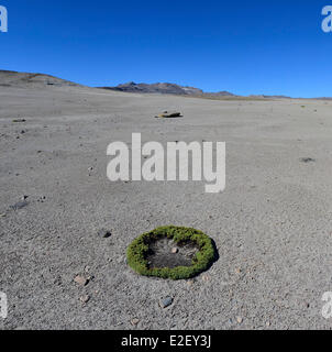 Peru-Arequipa Provinz Chivay Mismi Vulkan (5597 m) die Mismi wurde als die am weitesten entfernten Quelle des Amazonas fest identifiziert. Stockfoto