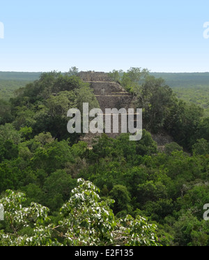 Tempel in Calakmul, eine Maya-Ausgrabungsstätte im mexikanischen Bundesstaat Campeche Stockfoto