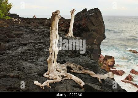 Frankreich, La Réunion (französische Übersee-Departement), Saint-Philippe, wilden Südküste, Cap Mechant, Fischer auf Basalt Felsen Stockfoto