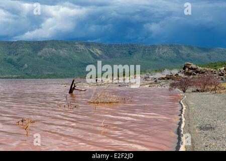 Kenia, Lake Bogoria, hohes Maß an Wasser Stockfoto