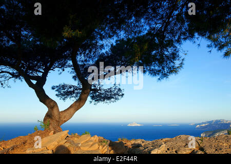 Frankreich Bouches du Rhone National Park Calanques Cassis Cap Canaille Ridge Road Soubeyranes Klippen der Calanques von Marseille in Stockfoto