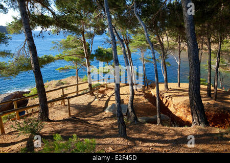 Frankreich, Bouches du Rhone, Calanques Nationalpark, La Ciotat, Park Mugel, Schnabel des Adlers Cove Sec Stockfoto