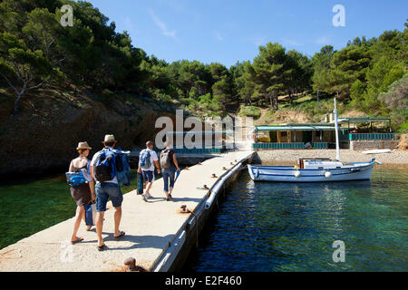Frankreich, Bouches du Rhone, Calanques Nationalpark, La Ciotat, grün, Saint-Pierre Insel Bucht Stockfoto