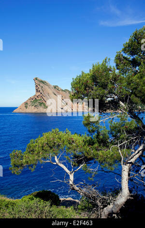Frankreich, Bouches du Rhone, Calanques National Park, La Ciotat, Green Island, Cap Canaille und Bec de l'Aigle im Hintergrund Stockfoto