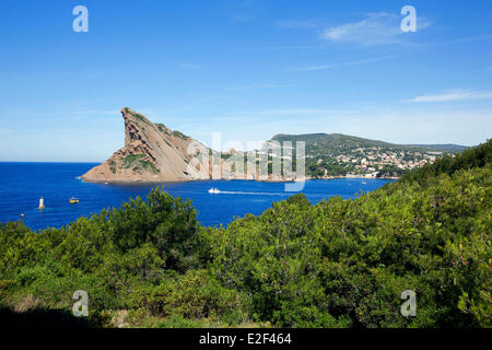 Frankreich, Bouches du Rhone, Calanques National Park, La Ciotat, Green Island, Cap Canaille und Bec de l'Aigle im Hintergrund Stockfoto