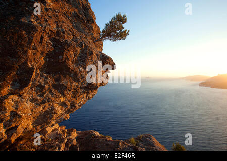 Frankreich, Bouches du Rhone, Nationalpark Calanques, Cassis, Cap Canaille, Höhenstraße, Klippen Soubeyranes Stockfoto