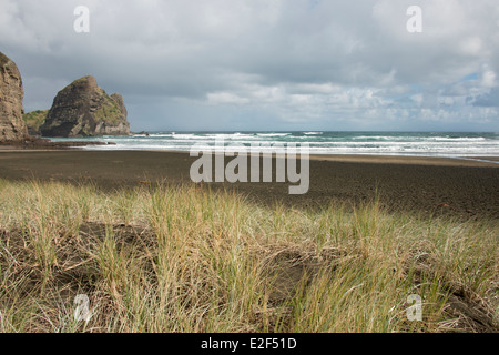 Neuseeland, Nordinsel, Auckland. Waitakere Ranges Regional Park. Piha Beach. Stockfoto