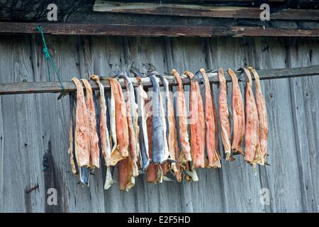 Russland-Tschukotka autonomen Bezirk Beringmeer Preobrazheniya Bay in der Nähe von Kap Dezhnev (Kalifornien Punkt von der eurasischen Stockfoto