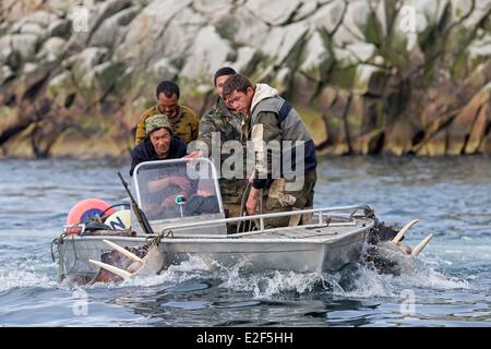 Russland-Tschukotka autonomen Bezirk Beringmeer Preobrazheniya Bay in der Nähe von Kap Dezhnev (Kalifornien Punkt von der eurasischen Stockfoto